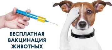 ВНИМАНИЕ! ВАКЦИНАЦИЯ СОБАК И КОШЕК ПРОТИВ БЕШЕНСТВА!