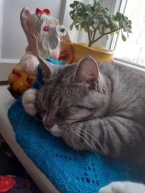 5 ����� �� ���������� ��������� �������� ���������� ����� ������� � ������������