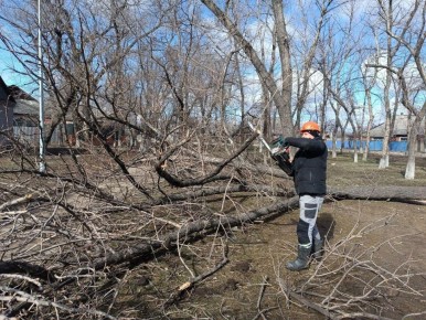 ������ ���������� ������������ ������������ ���������� �������� �������� � ������ ������ �����