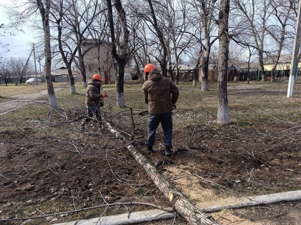 Силами удмуртских специалистов продолжается санитарная опиловка деревьев в сквере посёлка Белое Силами удмуртских специалистов продолжается санитарная опиловка деревьев в сквере посёлка Белое