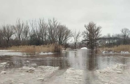 ��������� ���������� ������������� ��������� �������� ������� ������ ������ ������ ������� � ������ �� �������������� �������� � ������ ������������ ��������