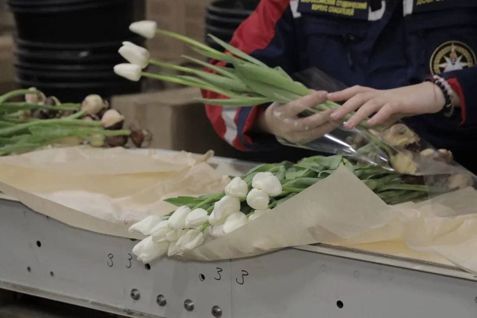 Цветы и добрые дела. 4 марта добровольцы студенческого спасательного отряда «Ворошиловец» ЛГПУ ЛугРО ВСКС снова доказали, что быть спасателем — значит помогать в самых разных ситуациях Цветы и добрые дела. 4 марта добровольцы студенческого спасательного отряда «Ворошиловец» ЛГПУ ЛугРО ВСКС снова доказали, что быть спасателем — значит помогать в самых разных ситуациях