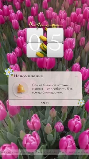 � ������ �����, ������ �������������� ������! ��������� ���� ���������� � ��������� �����������!