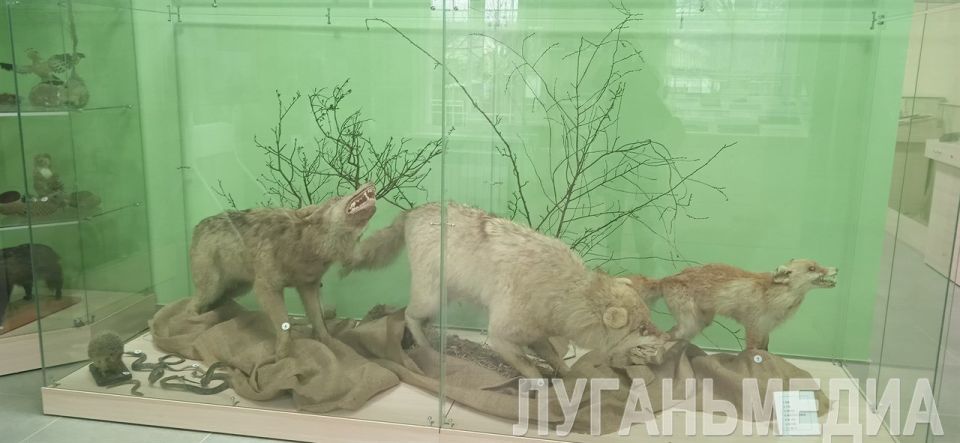 Краеведческий музей Беловодска открыли после капитального ремонта Краеведческий музей Беловодска открыли после капитального ремонта