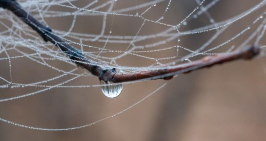 ����� ����� ������ � ��� � ������� 5 �����