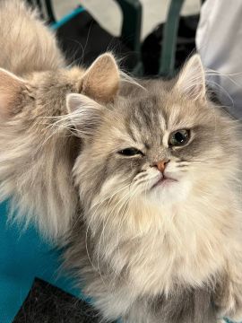 6 ����� �� ���������� ��������� �������� ���������� ����� ������� � ������������