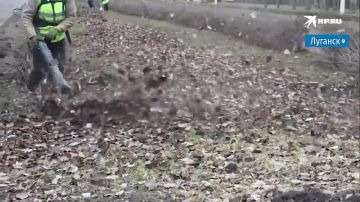 ���� �� ������ ���������� ����� � �������� �� �������� ����, ���������� ������������ ��� ����� ������� ������� � ������