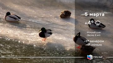 ������ ����, ��������� �������� ����������!