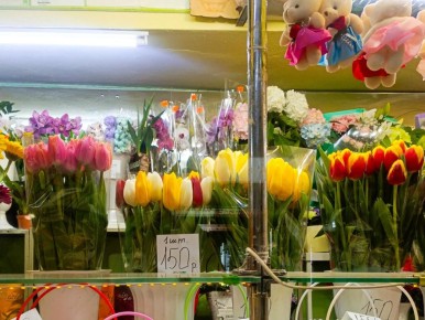 �� 8 ����� �������� ����� ������