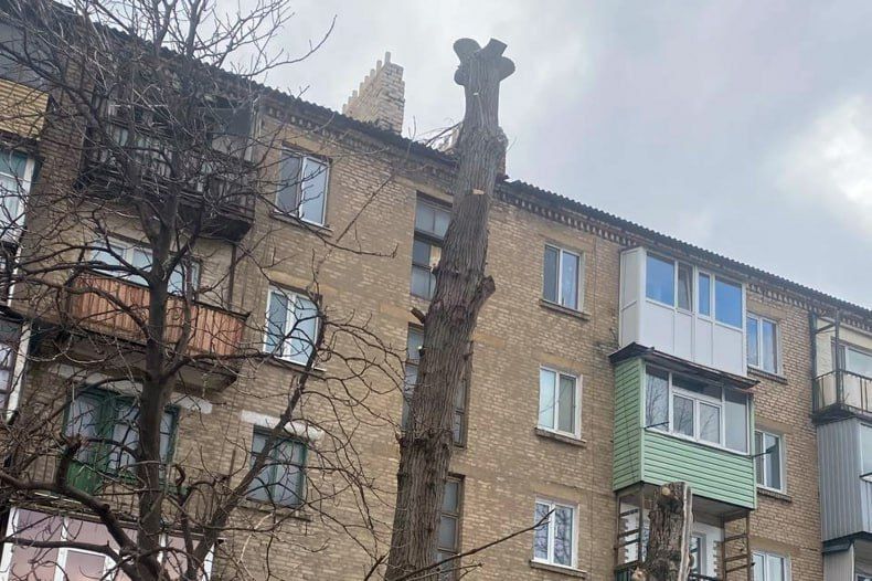 В городе Червонопартизанске обрезали аварийное дерево В городе Червонопартизанске обрезали аварийное дерево