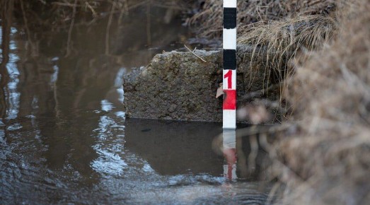 ������� ������ � ���� ���������� � 13 ����������� ������ �������� ������������� � ���������� �������� � ���, �������� �����-������ �������� ���������� ��� ������ �� ����������