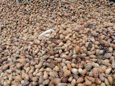 ������. �����. �����. �����