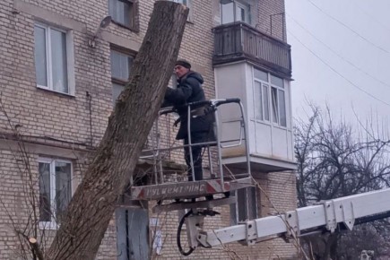 ��������� ��� ���������������� ���������� �������� ������ �� ��������� ����������� ������� �� ���������� �����������