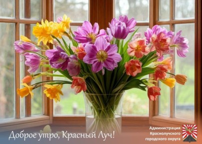 ������ ����, ������������ !