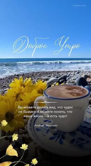 � ������ �����, ������ �������������� ������! ���� ����������� ����������, �� ������ �� �� ���!