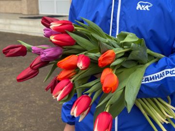 ����� ����� � �������: ������������ � ������������� ������� ���� � ��������