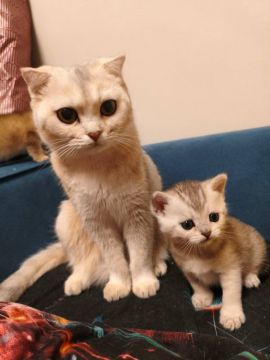 8 ����� �� ���������� ��������� �������� ���������� �������������� ���������� ����������