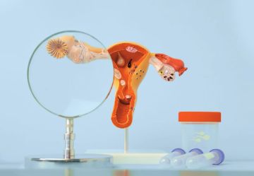 ������� � �������������� ��������