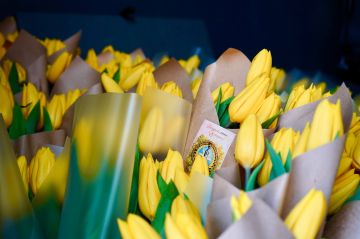 ������������ � ����� 8 �����