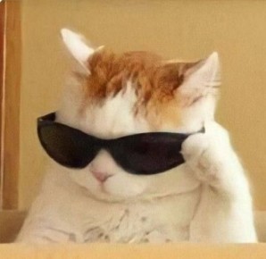 ������������� ���� �������� ���������� �������