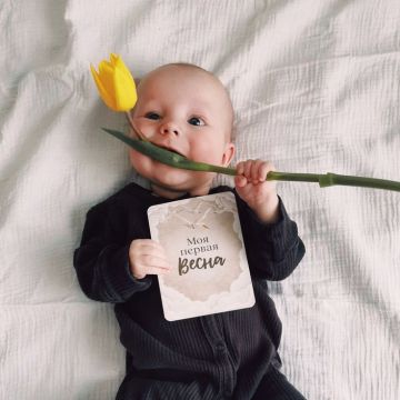 3 ������ ��������� �� ���� � ������������� ������������� ������ �� �������� ������