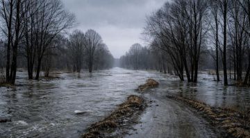 ��� ������� ������������� ����� � 15 ����������� ������ �������� ������������� � ���������� �������� � ���