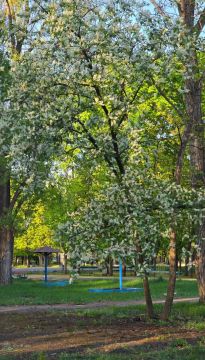 ��������� ������ ������ �����������!