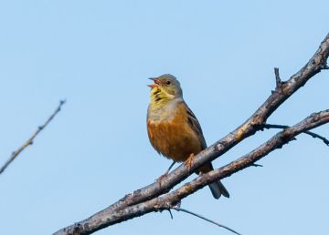 ������ � ��� �� 10 �����. ���� ������ ���������� �� +10�+15��