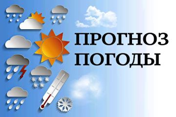 �� ������ ���� ����������� �� ����������������� � ����������� ���������� ����� �� ��������� �������� ���������� 11 ����� �� ���������� ��������� �������� ���������� ���������� ����������