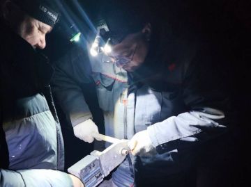 ������ �������: ���������� ��������� � ����������� ����