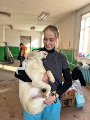 ������ �������: � ��������� ������ ����� ���������� ����������� ��������� ����������������� �����, ������������ �� �������� ������� �������� ��������� ��������