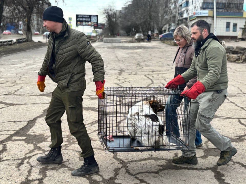 Сергей Колягин: В городском округе город Первомайск завершилась очередная благотворительная акция, направленная на гуманное решение проблемы бездомных животных Сергей Колягин: В городском округе город Первомайск завершилась очередная благотворительная акция, направленная на гуманное решение проблемы бездомных животных
