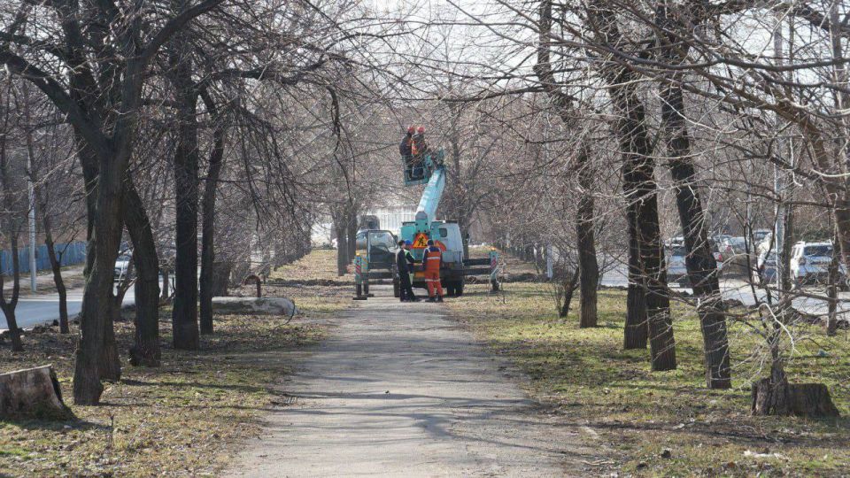 В Луганске начался ремонт аллеи на ул. Даля В Луганске начался ремонт аллеи на ул. Даля