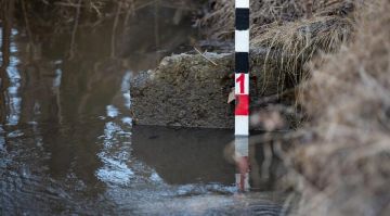 ������ ������� ������������� ����� � 15 ����������� ������ ���������� � ���������� ������� � ���