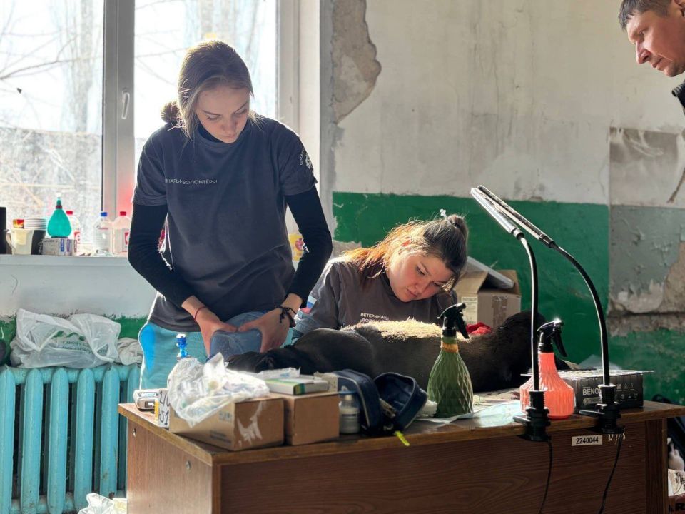 Сергей Колягин: В городском округе город Первомайск завершилась очередная благотворительная акция, направленная на гуманное решение проблемы бездомных животных Сергей Колягин: В городском округе город Первомайск завершилась очередная благотворительная акция, направленная на гуманное решение проблемы бездомных животных