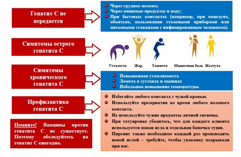 ЭНЦИКЛОПЕДИЯ ЗДОРОВЬЯ: Неделя по борьбе с заражением и распространением хронического вирусного гепатита С ЭНЦИКЛОПЕДИЯ ЗДОРОВЬЯ: Неделя по борьбе с заражением и распространением хронического вирусного гепатита С
