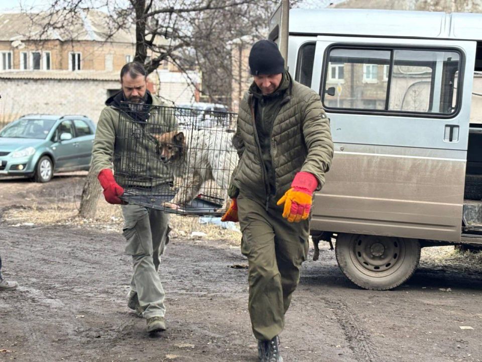 Сергей Колягин: В городском округе город Первомайск завершилась очередная благотворительная акция, направленная на гуманное решение проблемы бездомных животных Сергей Колягин: В городском округе город Первомайск завершилась очередная благотворительная акция, направленная на гуманное решение проблемы бездомных животных