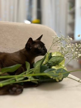 11 ����� �� ���������� ��������� �������� ���������� �������������� ���������� ����������