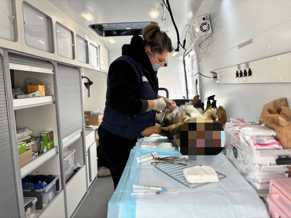 Сергей Колягин: В городском округе город Первомайск завершилась очередная благотворительная акция, направленная на гуманное решение проблемы бездомных животных Сергей Колягин: В городском округе город Первомайск завершилась очередная благотворительная акция, направленная на гуманное решение проблемы бездомных животных