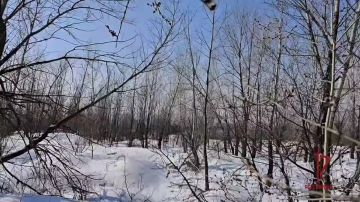 ������ � ���������� - ���� ����� � ����������� ������������ ������� ����!