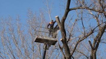 ������������� �������� ���������� � ������� �����������, ������� � ��������� �������� � �����������