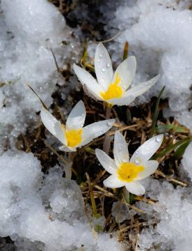 �� ��������� ���������� ����� �������� ����� ��� ���� �������� ����