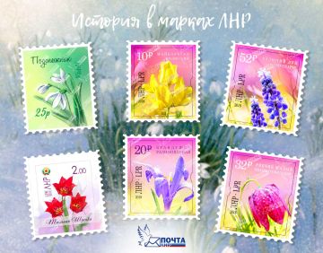 ������� � ������ ���. ����� ����� �������� � ��� �� ������ �� �����, �� � � ������ � ������� ����� ��� ���� ��������� ����� � ��������� �������