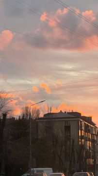 ��������� ������������ 14 ����� � ��� �� ����� 5 �������� ����� �� 16 �������� ����� ����, ��� �������, ����� � ����� ������� ����� �� ���� �������� �����-������ �������� ���������� ��� ������ �� ���