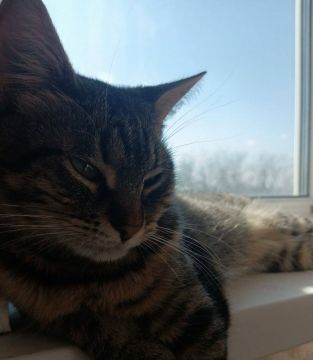 14 ����� �� ���������� ��������� �������� ���������� �������������� ���������� ����������