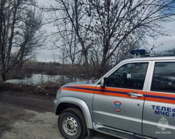 �������� ���������� �� ����� � ���� ���������� ������������, ������������� �������� 14 ������ � ���