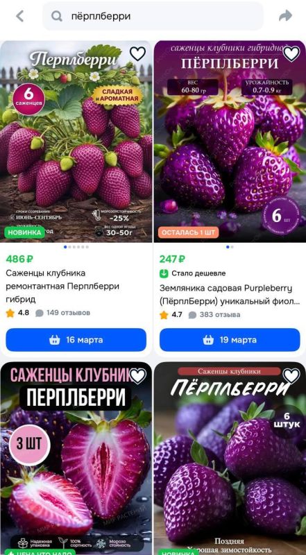 Российских бабушек обманывают на маркетплейсах Российских бабушек обманывают на маркетплейсах