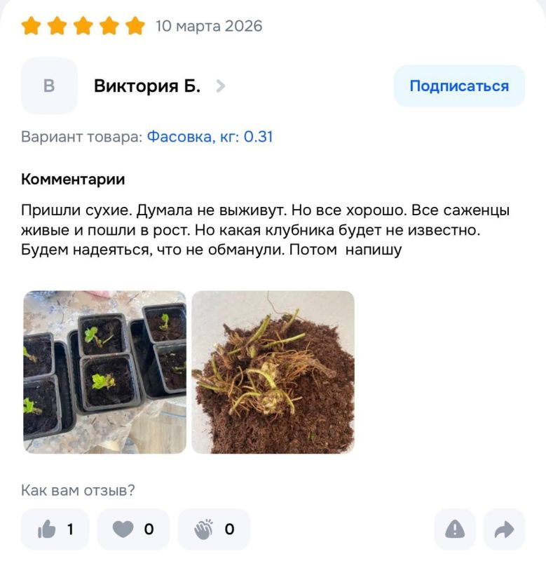 Российских бабушек обманывают на маркетплейсах Российских бабушек обманывают на маркетплейсах