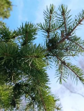 ������ ����, �������!. ����� ��� �������� ������� ��� ����� ������������� ������ � ������������ ��������! @agklnr #�������