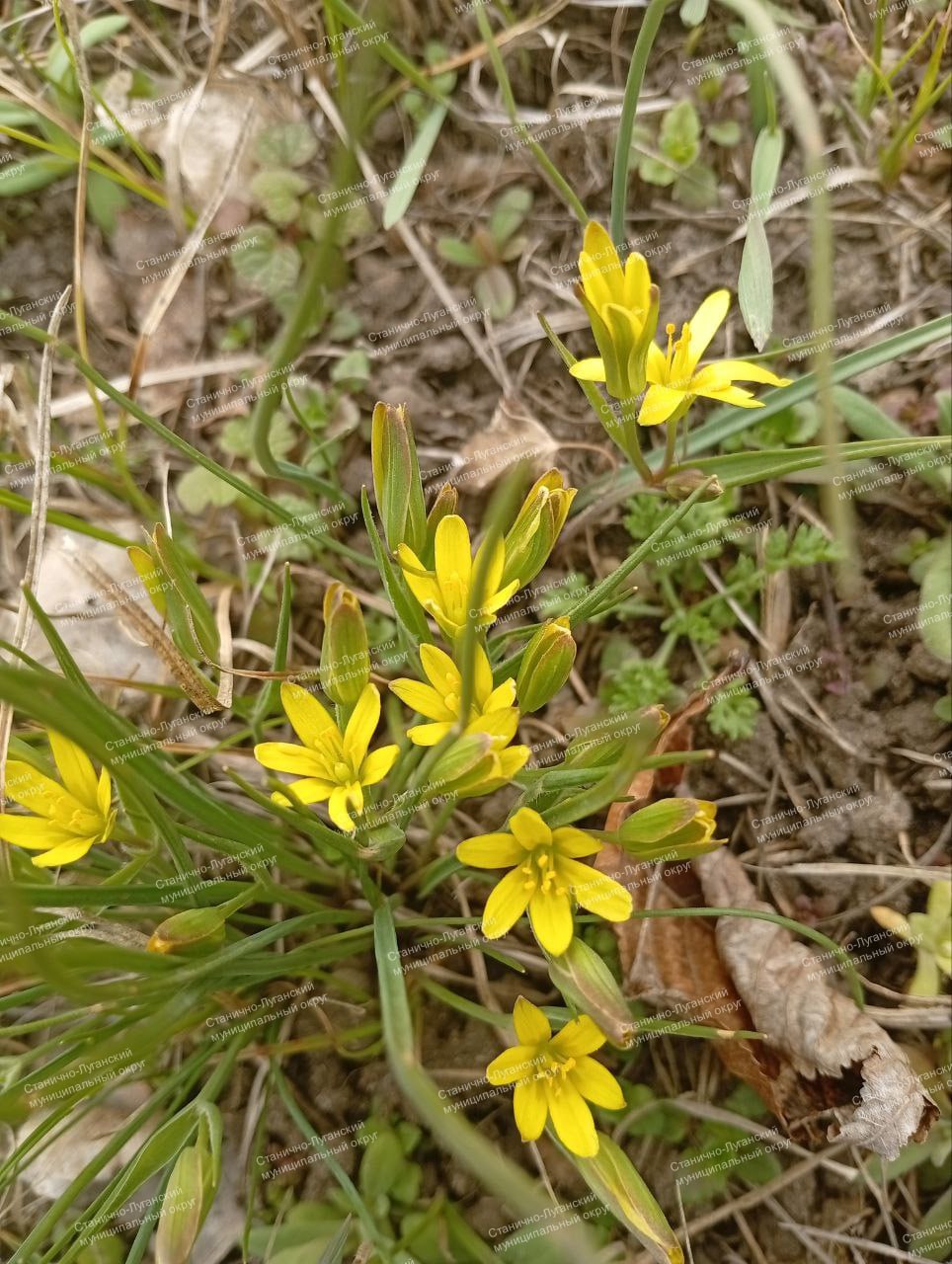 Прогноз погоды на субботу, 14 марта Прогноз погоды на субботу, 14 марта